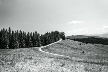Dağ sırası olan güzel bir manzara.