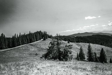 Karpatlar 'da siyah ve beyaz manzara