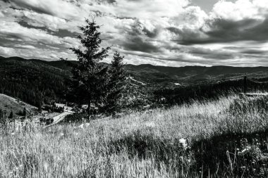 Siyah beyaz güzel dağ manzarası