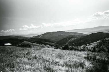Karpatlar 'daki dağların güzel bir görüntüsü.