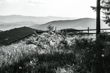 Ukrayna 'daki Karpat Dağları' ndaki güzel bir dağ manzarasının siyah beyaz fotoğrafı. Siyah ve beyaz. Fotoğraf bir fotoğraftan çekildi.
