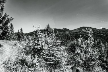 Kayalık dağ sırası.