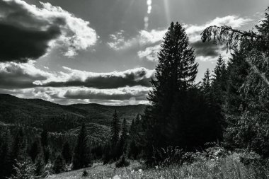 Dağların güzel manzarası