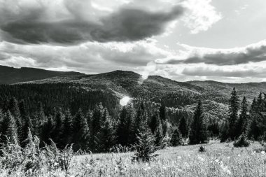 Arkasında ağaçlar olan bir dağ manzarasının gri tonlu görüntüsü.