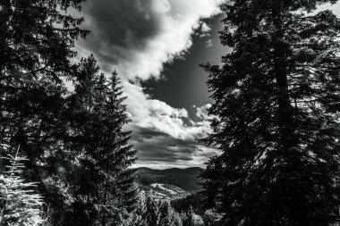 Alplerdeki güzel dağ manzarası