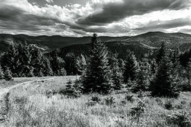 Dağları ve dağları olan güzel bir manzara