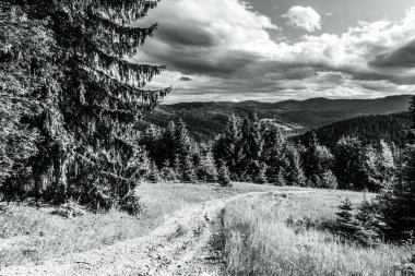 Dağlardaki yolun siyah ve beyaz görüntüsü.