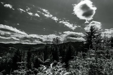 bir dağ silsilesinin siyah beyaz görüntüsü.