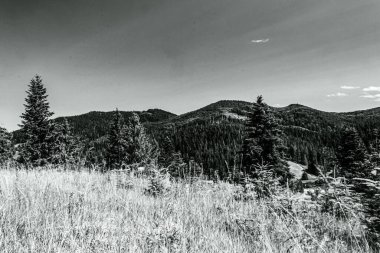 Dağ manzarasının siyah beyaz fotoğrafı