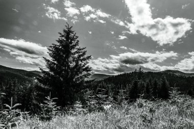 Dağ manzarasının siyah ve beyaz görüntüsü. Slovakya. siyah beyaz fotoğraf