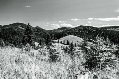 Karpatlar Rocky Dağları