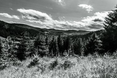 Dağ sırasının siyah beyaz fotoğrafı