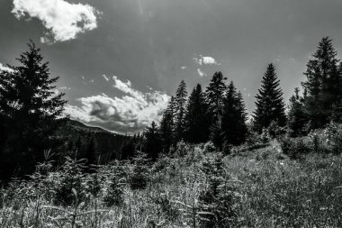 siyah ve beyaz dağ manzarası