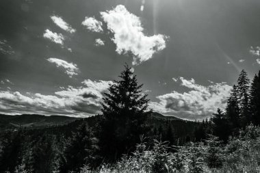 Ağaçlı ve bulutlu gökyüzü olan bir dağ manzarasının dikey ölçekli görüntüsü - siyah ve beyaz
