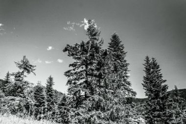 Dağların güzel manzarası