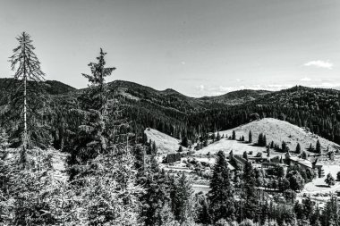 Colorado 'daki ulusal dağ sırası.