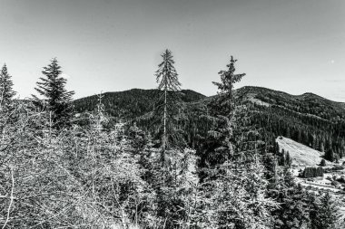 Tatra dağlarında siyah ve beyaz dağ manzarası, Polonya.