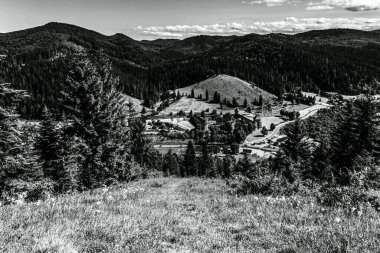 Karpat dağlarının güzel dağları.