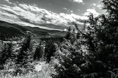 Dağların güzel manzarası. Doğa, seyahat kavramı