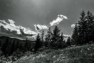 Güzel bir dağ manzarasının siyah beyaz fotoğrafı