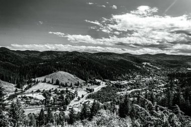 Ağaçlı siyah beyaz dağ manzarası