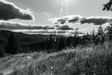 Dağların güzel manzarası.