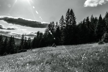 Dağların güzel manzarası