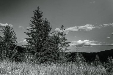 Dağlarda siyah beyaz bulutlar