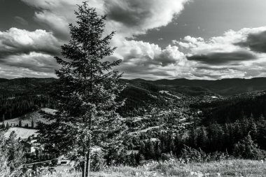 Dağlarda siyah beyaz bulutlar ve ağaçlar