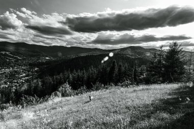 Dağlı güzel bir manzara.