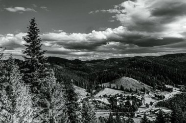 Ormanın ortasındaki güzel bir dağ manzarasının gri tonlu görüntüsü.