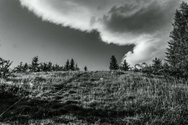 Ormanda siyah beyaz bulutlar