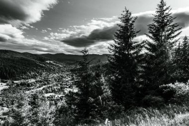 Bir dağ ve ormanı olan güzel bir manzara.