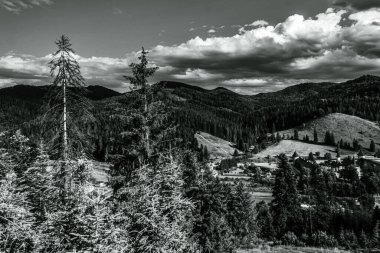 siyah ve beyaz dağ manzarası