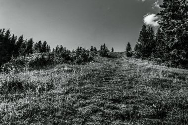 Bir patikası olan güzel bir dağ manzarası