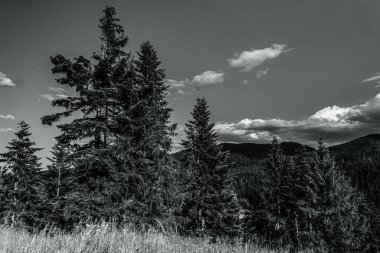 Doğanın güzel manzarası