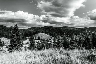 Nehir ve gölü olan güzel bir manzara.