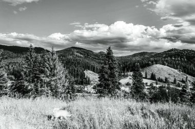 Dağların güzel manzarası