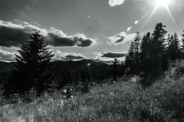 Siyah beyaz manzaranın güzel bir görüntüsü.