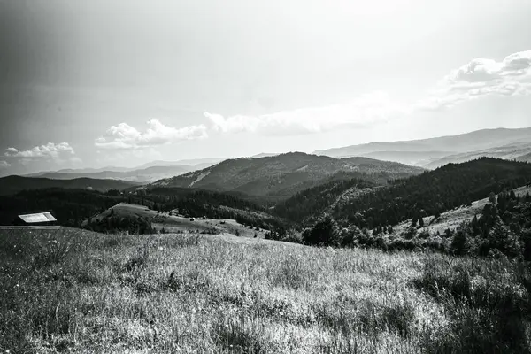 Karpatlar 'daki dağların güzel bir görüntüsü.