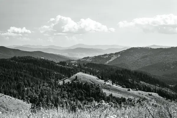 bir dağ manzarasının siyah beyaz fotoğrafı