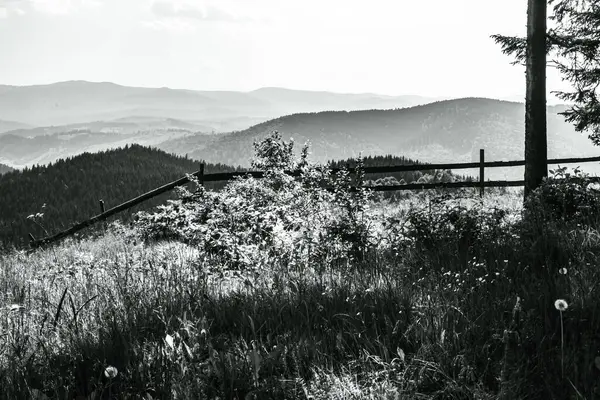 Ukrayna 'daki Karpat Dağları' ndaki güzel bir dağ manzarasının siyah beyaz fotoğrafı. Siyah ve beyaz. Fotoğraf bir fotoğraftan çekildi.