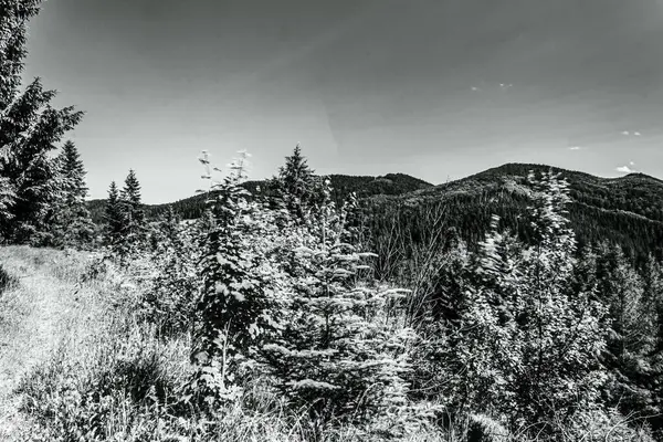 Kayalık dağ sırası.