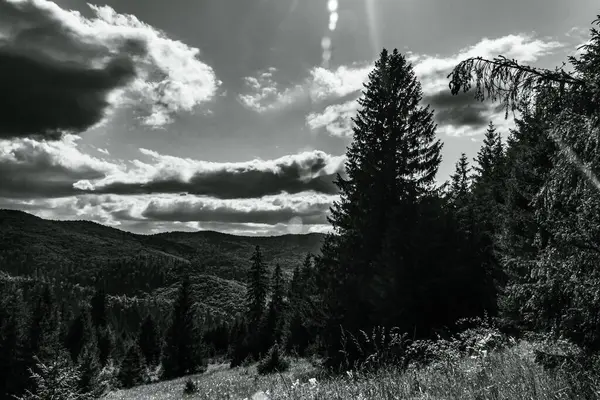 Dağların güzel manzarası