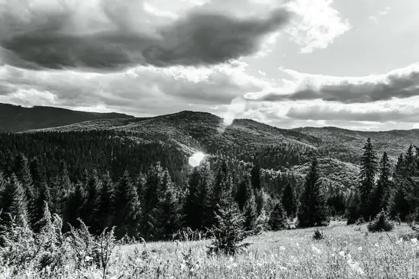 Arkasında ağaçlar olan bir dağ manzarasının gri tonlu görüntüsü.