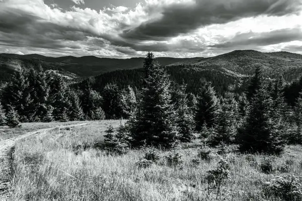 Dağları ve dağları olan güzel bir manzara