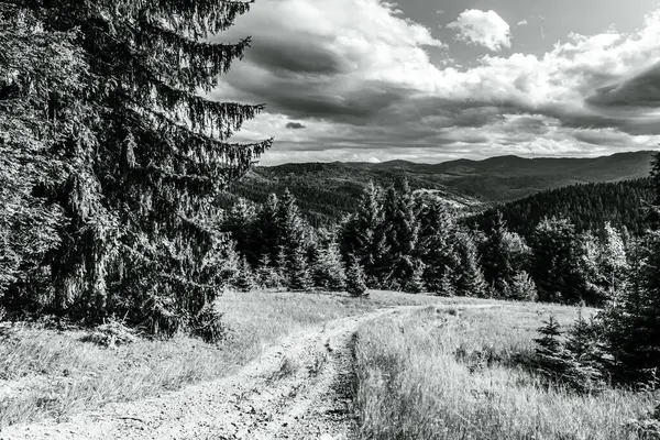 Dağlardaki yolun siyah ve beyaz görüntüsü.