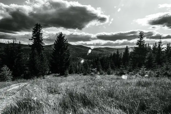 Dağları olan güzel bir manzara. Doğa, seyahat