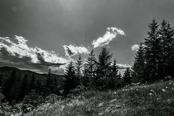 Güzel bir dağ manzarasının siyah beyaz fotoğrafı
