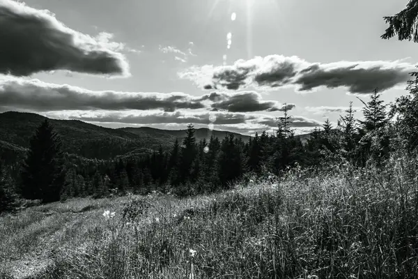 Dağların güzel manzarası.